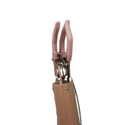جودة  350mm Upper Limb Prosthetic , Cable Control Mechnical Arm مصنع